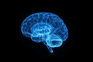 Proteína ativa limpeza cerebral e melhora memória em estudo com ratos