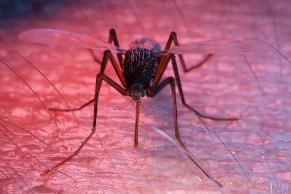 Anvisa publica registro de imunizante contra a dengue do Butantan Anvisa publica registro de imunizante contra a dengue do Butantan