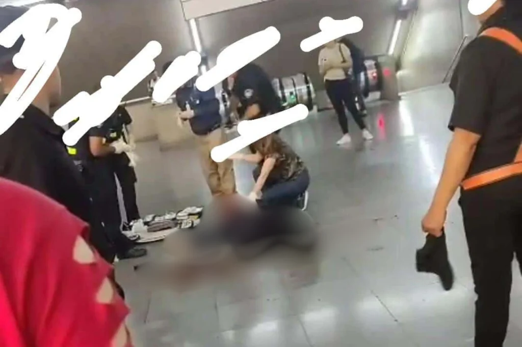 Briga no metrô: homem atinge passageiro e se esfaqueia na Estação Sé Briga no metrô: homem atinge passageiro e se esfaqueia na Estação Sé