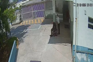 Suspeito de roubo a carro de luxo é encontrado baleado em UPA de SP.Vejavídeo