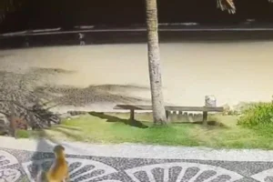 Gravação hoje ajuda a identificar adolescentes que tentaram afogar cão Caramelo