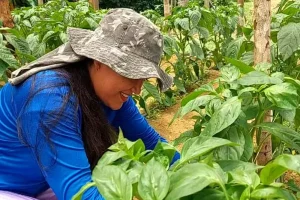 Mulheres no Campo oferece 100 vagas de capacitação agora